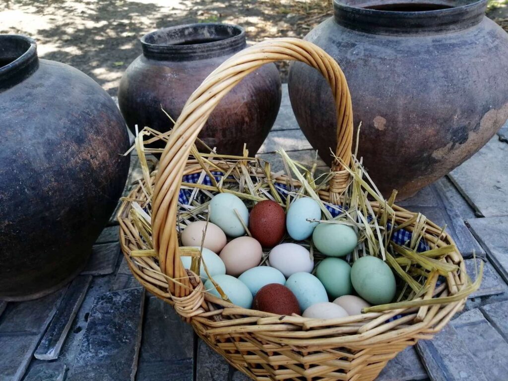 Екоферма на Посуллі