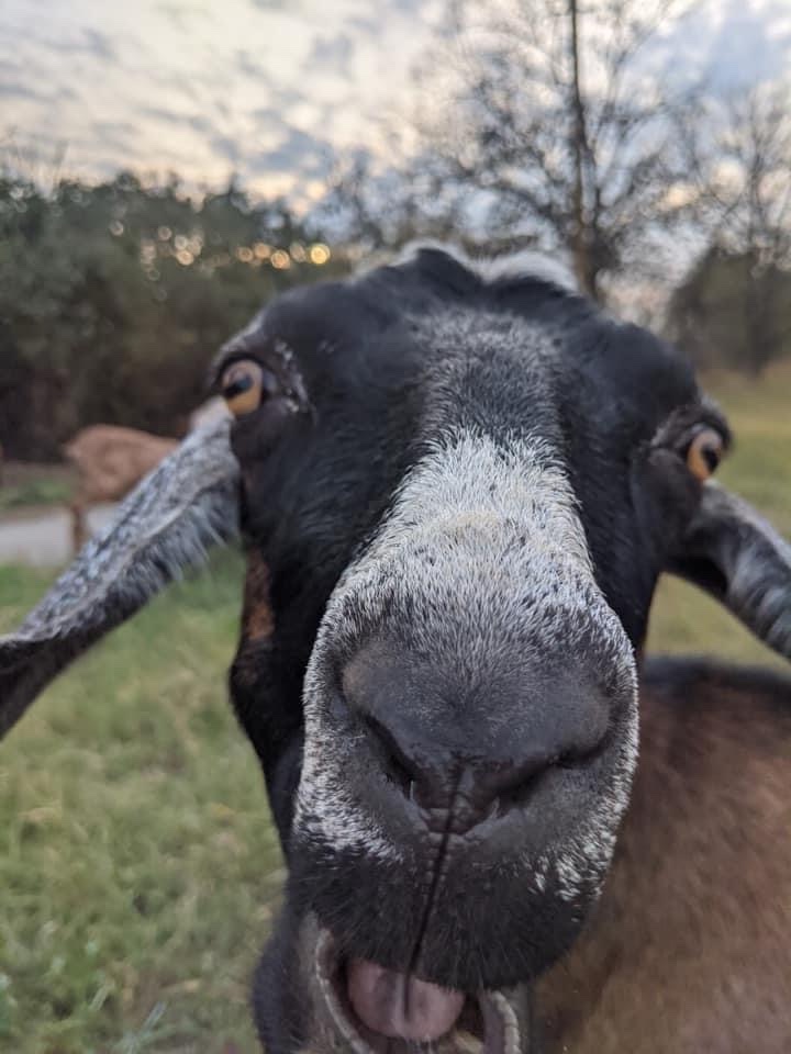 Екоферма на Посуллі