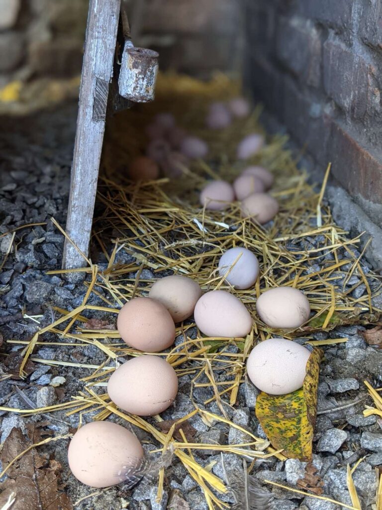 Екоферма на Посуллі