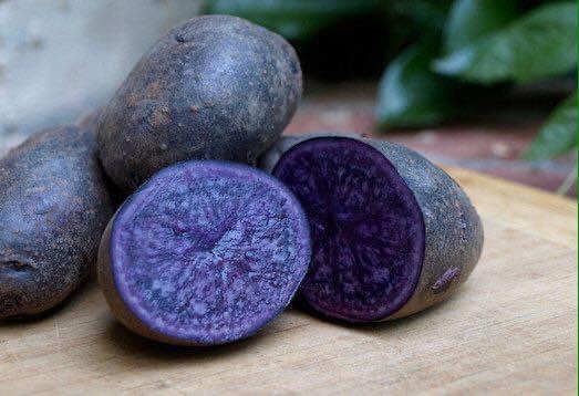 Екоферма на Посуллі