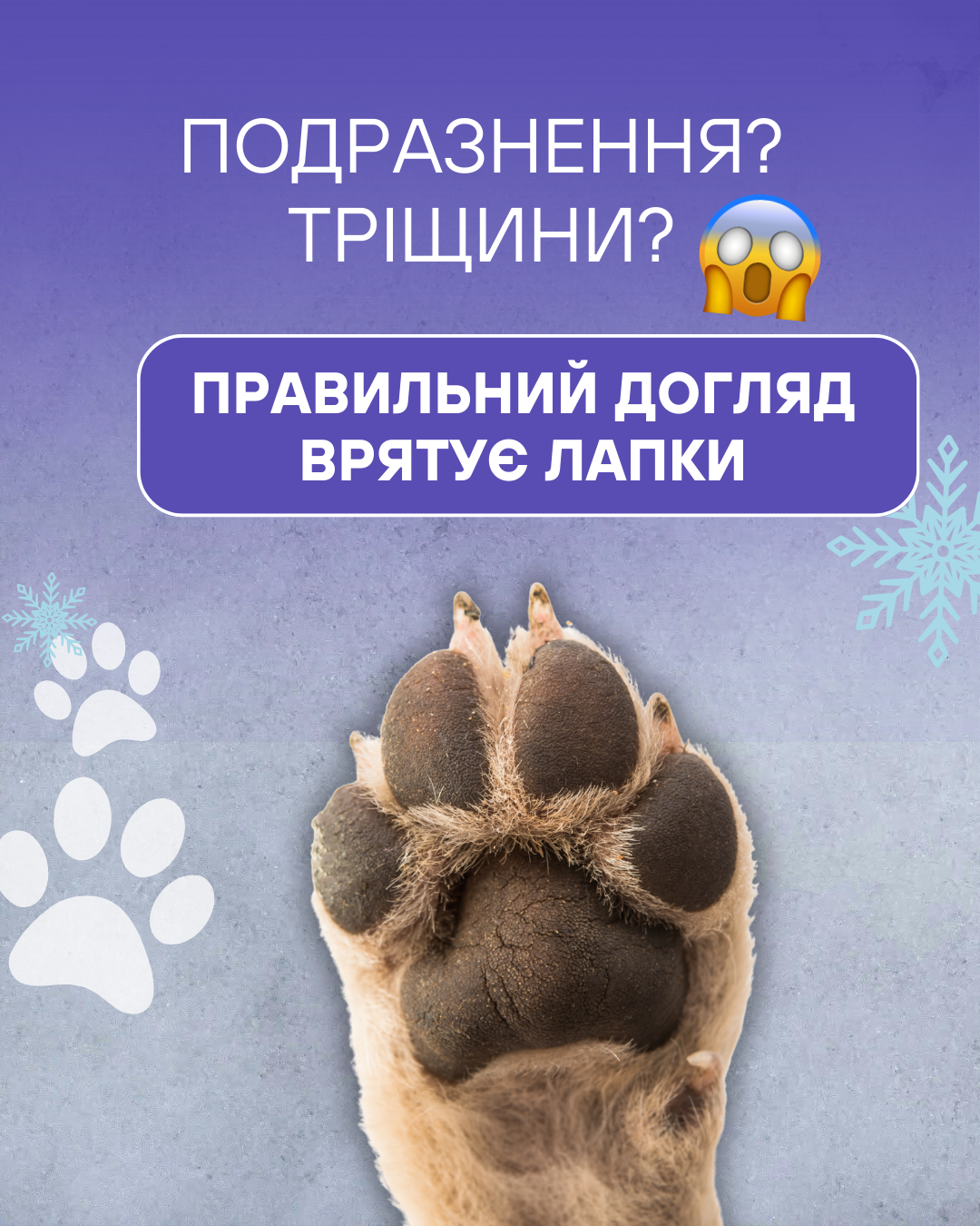 🐾 Лапки улюбленця страждають від холоду та реагентів?