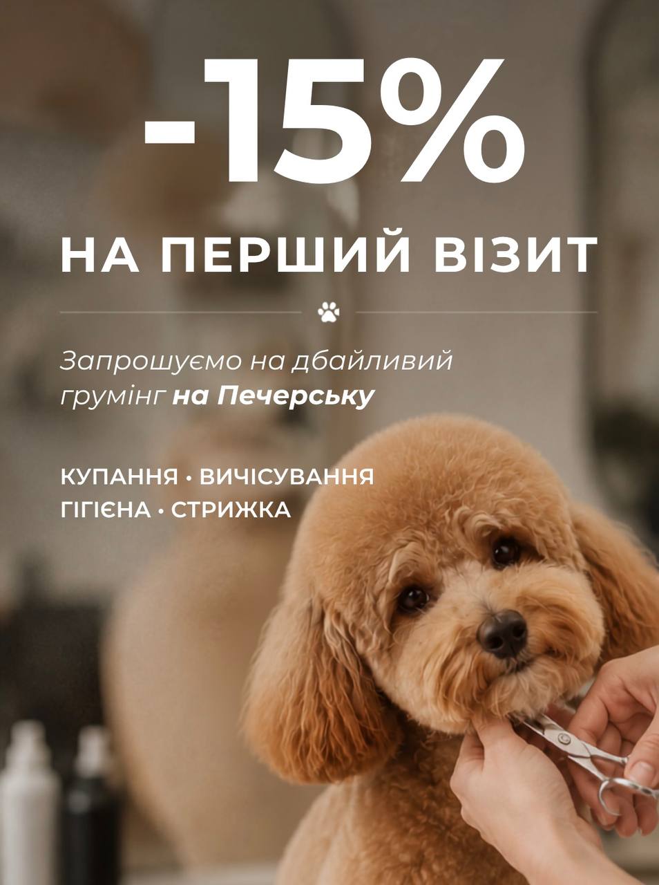 🐾 На Печерську відкрився новий грумінг-салон! І дарує подарунок для нових клієнтів!